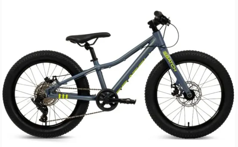 Batch Kids 20 MTB Chameleon