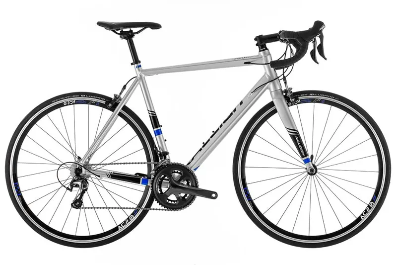 raleigh endurance bike
